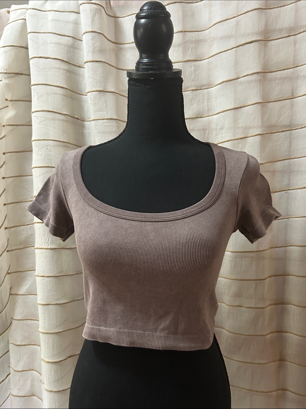 Ribbed Square-Neck Crop Top in Taupe